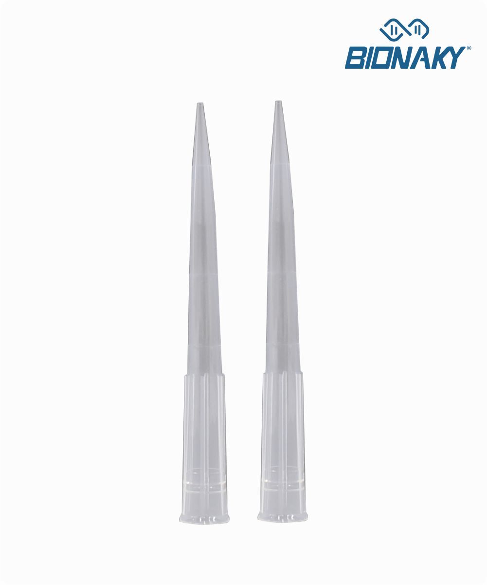 Ponteira PCR sem filtro tipo Gilson 300µL